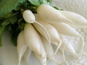 whiteradish1